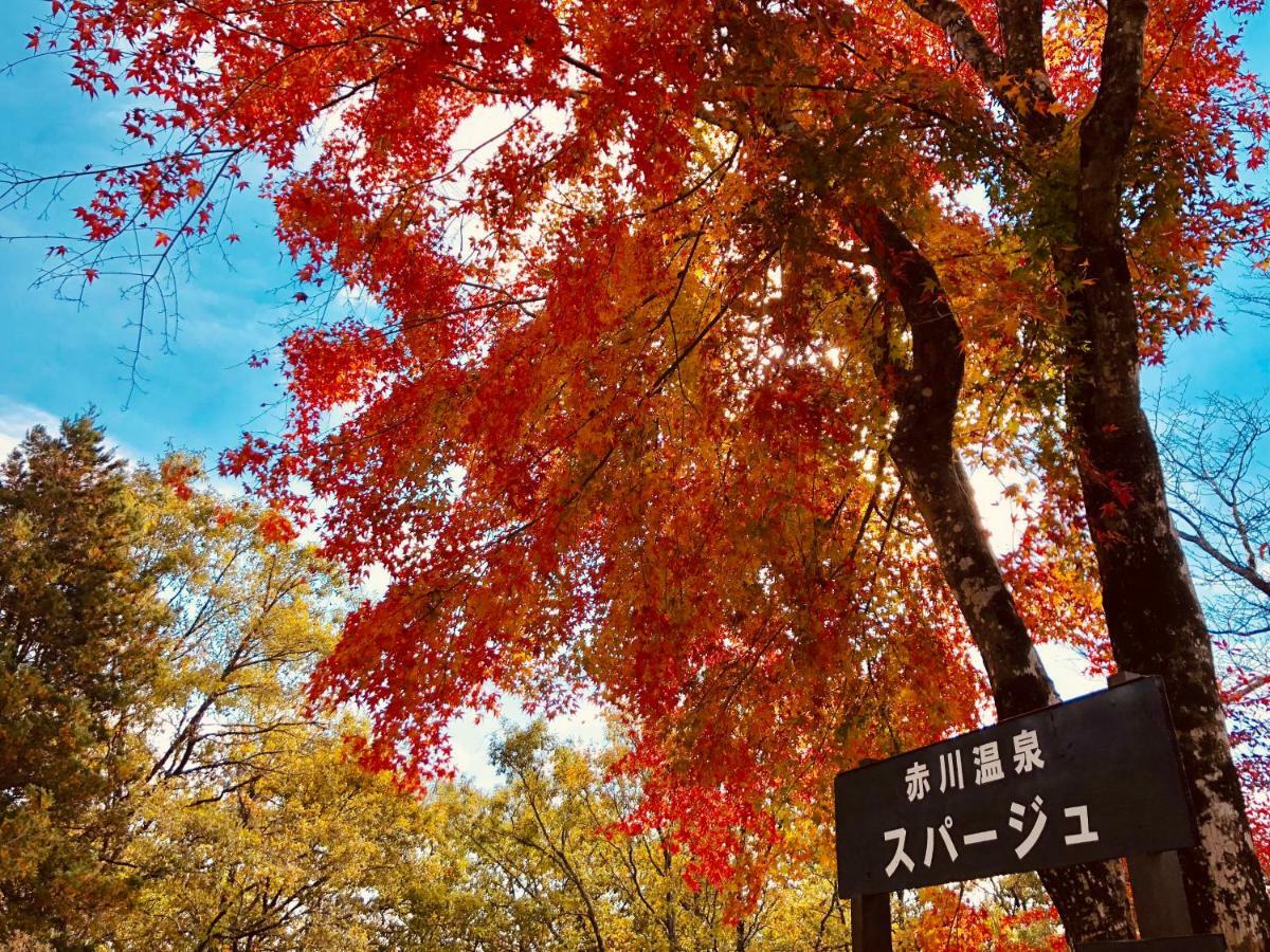 赤川温泉スパージュ-Spaju Taketa Eksteriør bilde